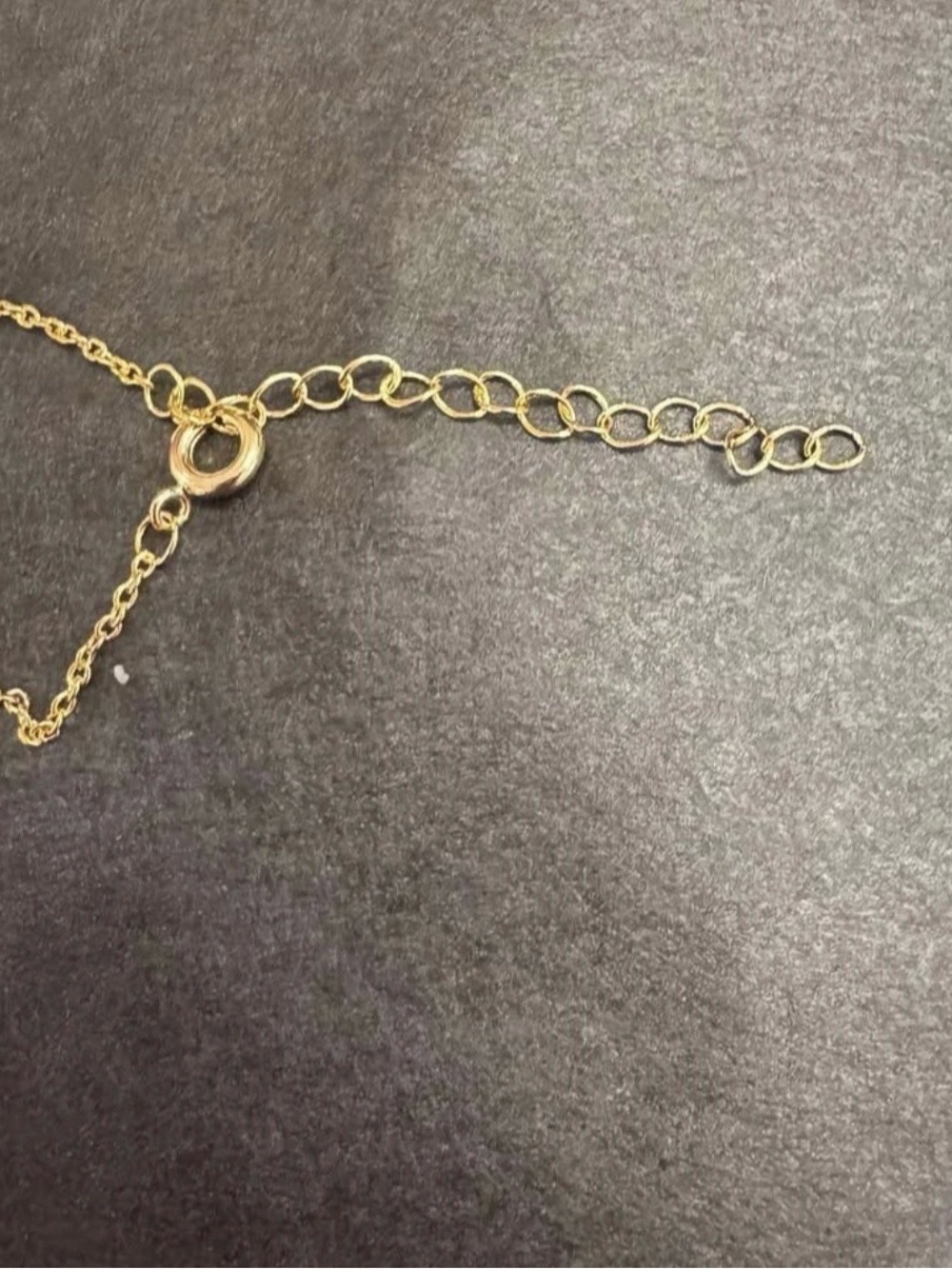 SIDE OF RANCH Script gold plated chain necklace - Picture 7 of 7